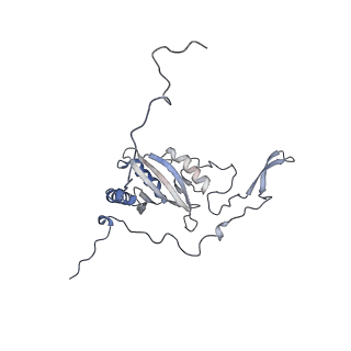 14791_7zm7_G_v1-1
CryoEM structure of mitochondrial complex I from Chaetomium thermophilum (inhibited by DDM)