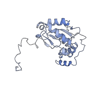 14791_7zm7_H_v1-1
CryoEM structure of mitochondrial complex I from Chaetomium thermophilum (inhibited by DDM)