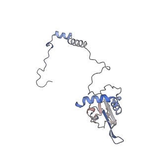 14791_7zm7_I_v1-1
CryoEM structure of mitochondrial complex I from Chaetomium thermophilum (inhibited by DDM)