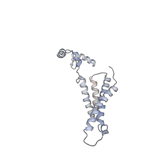 14791_7zm7_J_v1-1
CryoEM structure of mitochondrial complex I from Chaetomium thermophilum (inhibited by DDM)