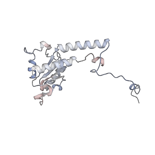 14791_7zm7_K_v1-1
CryoEM structure of mitochondrial complex I from Chaetomium thermophilum (inhibited by DDM)