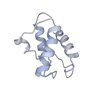 14791_7zm7_O_v1-1
CryoEM structure of mitochondrial complex I from Chaetomium thermophilum (inhibited by DDM)