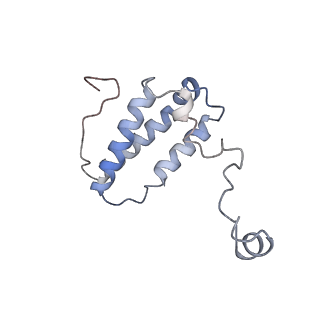14791_7zm7_P_v1-1
CryoEM structure of mitochondrial complex I from Chaetomium thermophilum (inhibited by DDM)