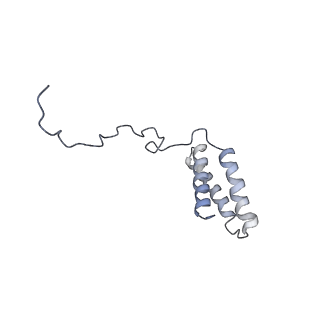 14791_7zm7_R_v1-1
CryoEM structure of mitochondrial complex I from Chaetomium thermophilum (inhibited by DDM)
