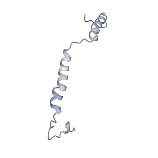 14791_7zm7_S_v1-1
CryoEM structure of mitochondrial complex I from Chaetomium thermophilum (inhibited by DDM)