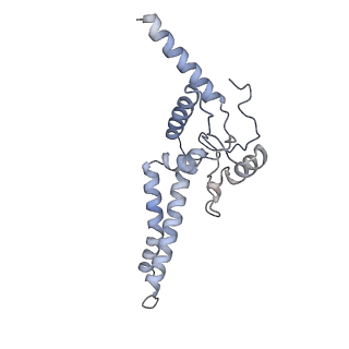 14791_7zm7_X_v1-1
CryoEM structure of mitochondrial complex I from Chaetomium thermophilum (inhibited by DDM)