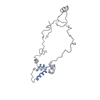 14791_7zm7_Z_v1-1
CryoEM structure of mitochondrial complex I from Chaetomium thermophilum (inhibited by DDM)