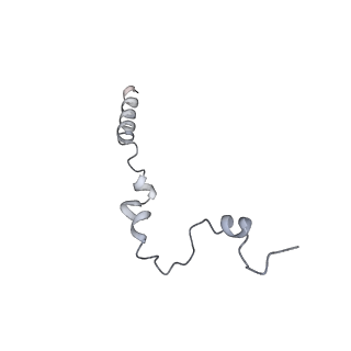 14791_7zm7_c_v1-1
CryoEM structure of mitochondrial complex I from Chaetomium thermophilum (inhibited by DDM)
