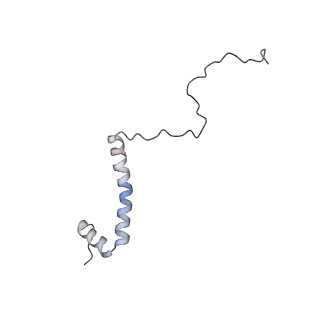14791_7zm7_g_v1-1
CryoEM structure of mitochondrial complex I from Chaetomium thermophilum (inhibited by DDM)