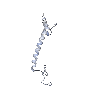 14791_7zm7_i_v1-1
CryoEM structure of mitochondrial complex I from Chaetomium thermophilum (inhibited by DDM)