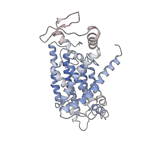 14792_7zm8_1_v1-1
CryoEM structure of mitochondrial complex I from Chaetomium thermophilum (inhibited by DDM) - membrane arm