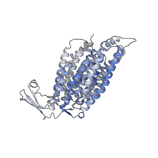 14792_7zm8_2_v1-1
CryoEM structure of mitochondrial complex I from Chaetomium thermophilum (inhibited by DDM) - membrane arm