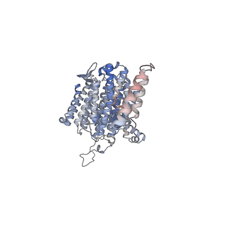 14792_7zm8_5_v1-1
CryoEM structure of mitochondrial complex I from Chaetomium thermophilum (inhibited by DDM) - membrane arm