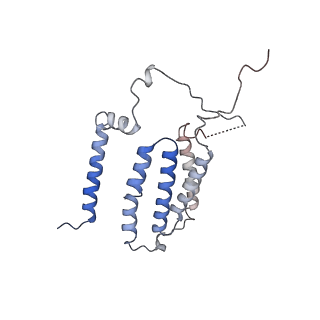 14792_7zm8_6_v1-1
CryoEM structure of mitochondrial complex I from Chaetomium thermophilum (inhibited by DDM) - membrane arm