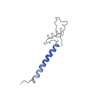 14792_7zm8_D_v1-1
CryoEM structure of mitochondrial complex I from Chaetomium thermophilum (inhibited by DDM) - membrane arm