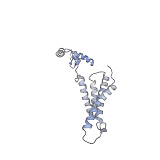 14792_7zm8_J_v1-1
CryoEM structure of mitochondrial complex I from Chaetomium thermophilum (inhibited by DDM) - membrane arm