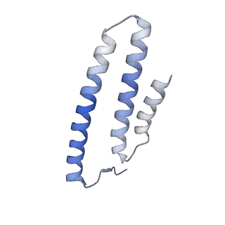 14792_7zm8_L_v1-1
CryoEM structure of mitochondrial complex I from Chaetomium thermophilum (inhibited by DDM) - membrane arm