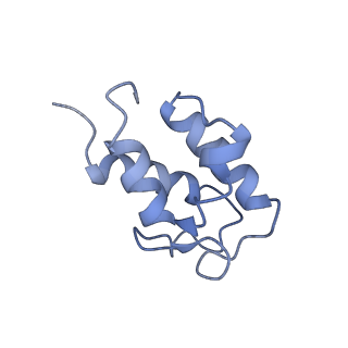 14792_7zm8_Q_v1-1
CryoEM structure of mitochondrial complex I from Chaetomium thermophilum (inhibited by DDM) - membrane arm