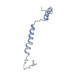 14792_7zm8_S_v1-1
CryoEM structure of mitochondrial complex I from Chaetomium thermophilum (inhibited by DDM) - membrane arm