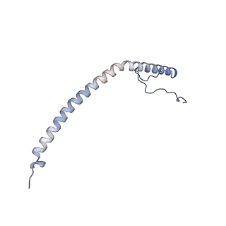 14792_7zm8_W_v1-1
CryoEM structure of mitochondrial complex I from Chaetomium thermophilum (inhibited by DDM) - membrane arm