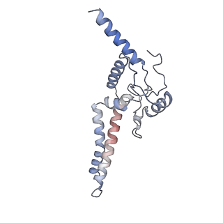 14792_7zm8_X_v1-1
CryoEM structure of mitochondrial complex I from Chaetomium thermophilum (inhibited by DDM) - membrane arm