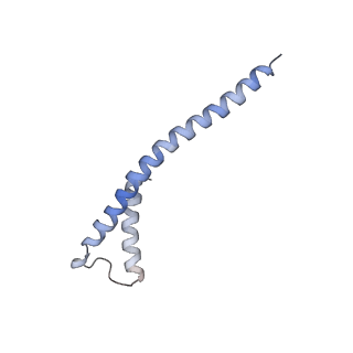 14792_7zm8_b_v1-1
CryoEM structure of mitochondrial complex I from Chaetomium thermophilum (inhibited by DDM) - membrane arm