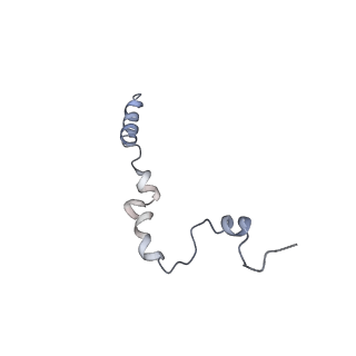 14792_7zm8_c_v1-1
CryoEM structure of mitochondrial complex I from Chaetomium thermophilum (inhibited by DDM) - membrane arm