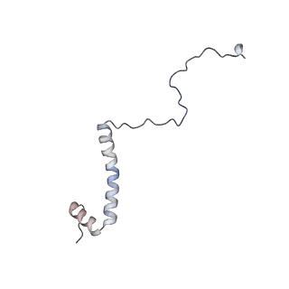 14792_7zm8_g_v1-1
CryoEM structure of mitochondrial complex I from Chaetomium thermophilum (inhibited by DDM) - membrane arm