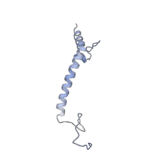 14792_7zm8_i_v1-1
CryoEM structure of mitochondrial complex I from Chaetomium thermophilum (inhibited by DDM) - membrane arm