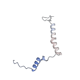 14792_7zm8_j_v1-1
CryoEM structure of mitochondrial complex I from Chaetomium thermophilum (inhibited by DDM) - membrane arm