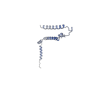 14792_7zm8_n_v1-1
CryoEM structure of mitochondrial complex I from Chaetomium thermophilum (inhibited by DDM) - membrane arm