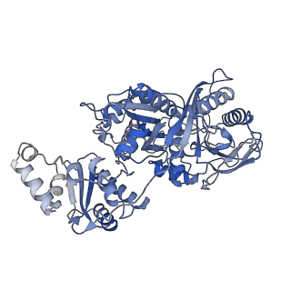 14793_7zma_A_v1-1
Ketosynthase domain of module 4 from Brevibacillus Brevis orphan BGC11