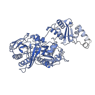 14793_7zma_B_v1-1
Ketosynthase domain of module 4 from Brevibacillus Brevis orphan BGC11