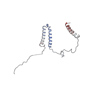 14794_7zmb_3_v1-1
CryoEM structure of mitochondrial complex I from Chaetomium thermophilum (state 2)