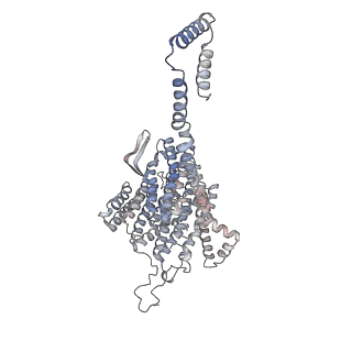 14794_7zmb_5_v1-1
CryoEM structure of mitochondrial complex I from Chaetomium thermophilum (state 2)