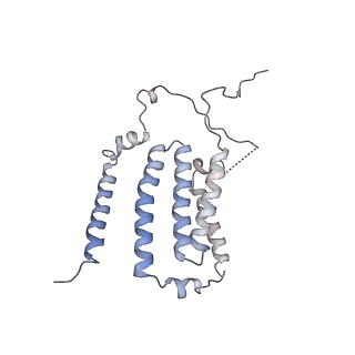 14794_7zmb_6_v1-1
CryoEM structure of mitochondrial complex I from Chaetomium thermophilum (state 2)