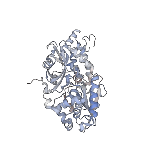 14794_7zmb_B_v1-1
CryoEM structure of mitochondrial complex I from Chaetomium thermophilum (state 2)