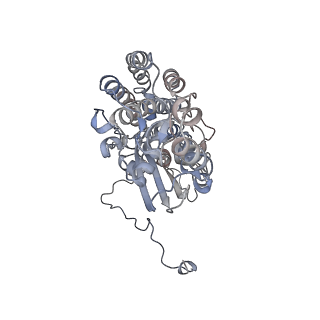 14794_7zmb_C_v1-1
CryoEM structure of mitochondrial complex I from Chaetomium thermophilum (state 2)