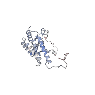 14794_7zmb_F_v1-1
CryoEM structure of mitochondrial complex I from Chaetomium thermophilum (state 2)