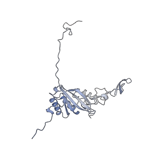 14794_7zmb_G_v1-1
CryoEM structure of mitochondrial complex I from Chaetomium thermophilum (state 2)