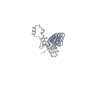 14794_7zmb_J_v1-1
CryoEM structure of mitochondrial complex I from Chaetomium thermophilum (state 2)