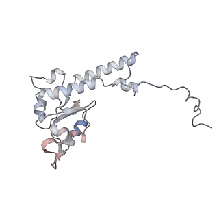 14794_7zmb_K_v1-1
CryoEM structure of mitochondrial complex I from Chaetomium thermophilum (state 2)