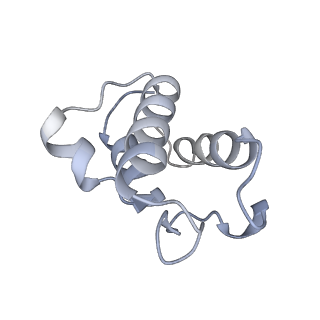 14794_7zmb_O_v1-1
CryoEM structure of mitochondrial complex I from Chaetomium thermophilum (state 2)