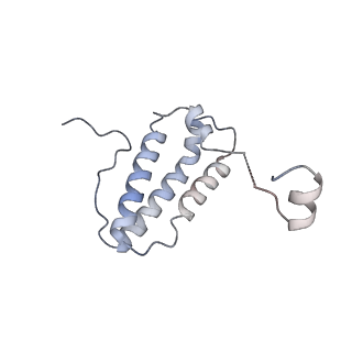 14794_7zmb_P_v1-1
CryoEM structure of mitochondrial complex I from Chaetomium thermophilum (state 2)