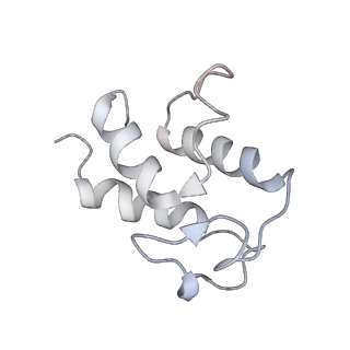 14794_7zmb_Q_v1-1
CryoEM structure of mitochondrial complex I from Chaetomium thermophilum (state 2)