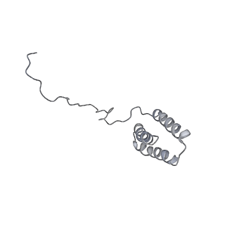 14794_7zmb_R_v1-1
CryoEM structure of mitochondrial complex I from Chaetomium thermophilum (state 2)