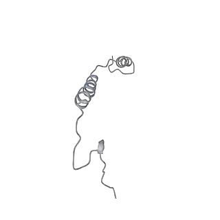 14794_7zmb_S_v1-1
CryoEM structure of mitochondrial complex I from Chaetomium thermophilum (state 2)
