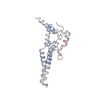14794_7zmb_X_v1-1
CryoEM structure of mitochondrial complex I from Chaetomium thermophilum (state 2)