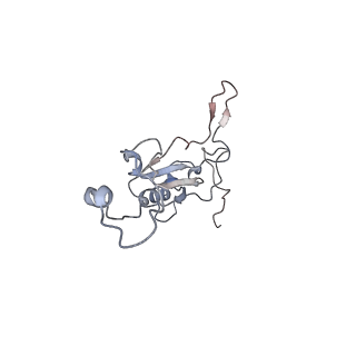 14794_7zmb_Y_v1-1
CryoEM structure of mitochondrial complex I from Chaetomium thermophilum (state 2)