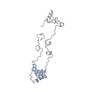 14794_7zmb_Z_v1-1
CryoEM structure of mitochondrial complex I from Chaetomium thermophilum (state 2)